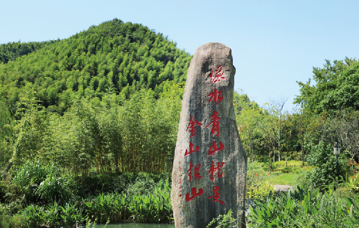 聚焦“雙碳” | 太陽成集團tyc環境-新至雙碳林業碳匯項目落...